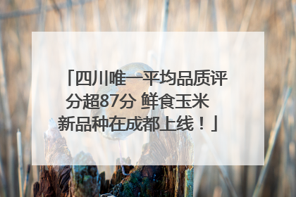 四川唯一平均品质评分超87分 鲜食玉米新品种在成都上线！