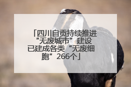 四川自贡持续推进“无废城市”建设 已建成各类“无废细胞”266个