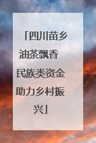 四川苗乡油茶飘香 民族类资金助力乡村振兴