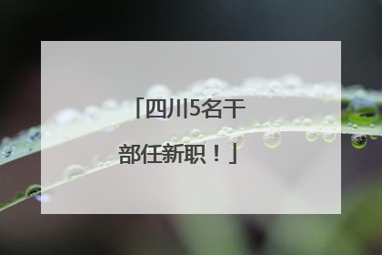 四川5名干部任新职！