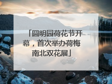 圆明园荷花节开幕，首次举办荷梅南北双花展