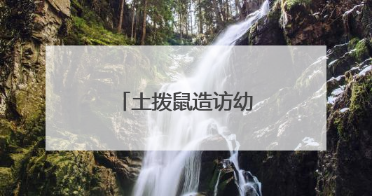 土拨鼠造访幼儿园，警民协力智擒“萌兽”