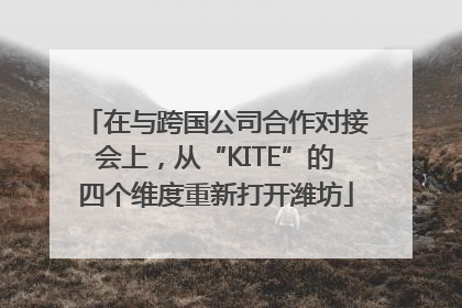 在与跨国公司合作对接会上，从“KITE”的四个维度重新打开潍坊