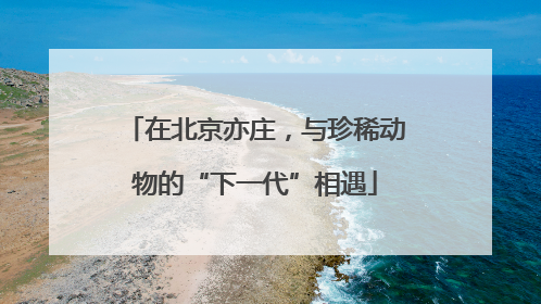 在北京亦庄，与珍稀动物的“下一代”相遇
