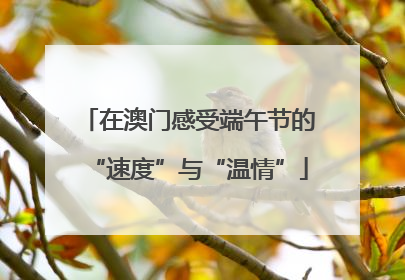 在澳门感受端午节的“速度”与“温情”