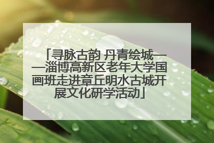 寻脉古韵 丹青绘城——淄博高新区老年大学国画班走进章丘明水古城开展文化研学活动