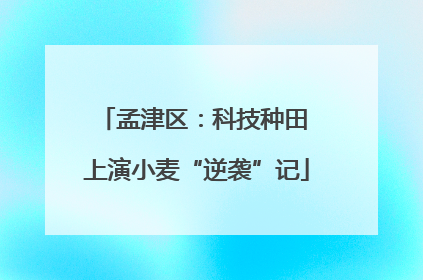 孟津区：科技种田 上演小麦“逆袭”记