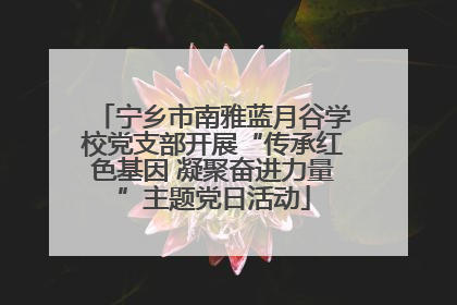 宁乡市南雅蓝月谷学校党支部开展“传承红色基因 凝聚奋进力量”主题党日活动