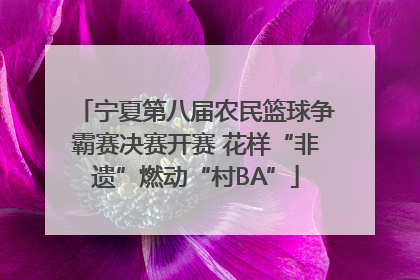 宁夏第八届农民篮球争霸赛决赛开赛 花样“非遗”燃动“村BA”