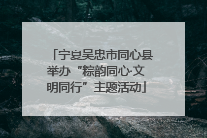 宁夏吴忠市同心县举办“粽韵同心·文明同行”主题活动