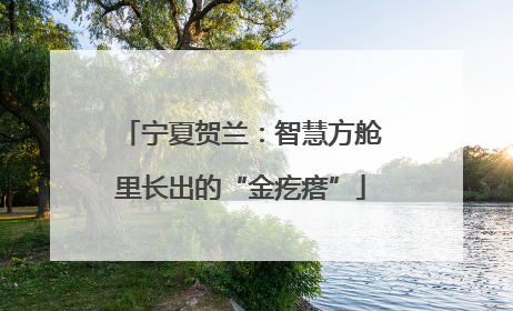 宁夏贺兰：智慧方舱里长出的“金疙瘩”