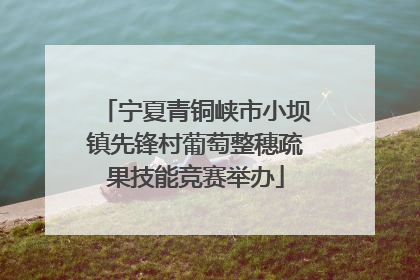 宁夏青铜峡市小坝镇先锋村葡萄整穗疏果技能竞赛举办
