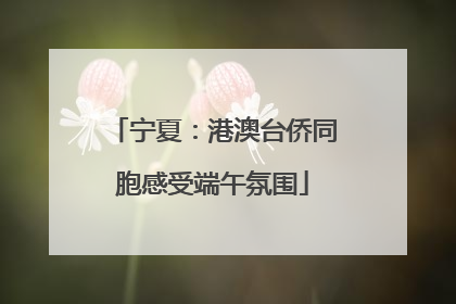 宁夏：港澳台侨同胞感受端午氛围