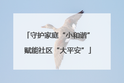 守护家庭“小和谐” 赋能社区“大平安”