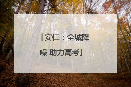 安仁：全城降噪 助力高考