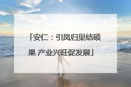 安仁：引凤归巢结硕果 产业兴旺促发展