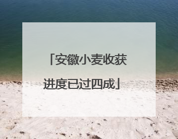 安徽小麦收获进度已过四成
