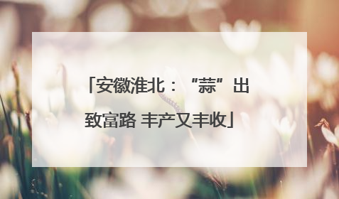 安徽淮北：“蒜”出致富路 丰产又丰收