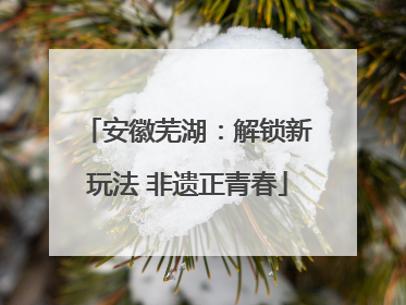 安徽芜湖：解锁新玩法 非遗正青春