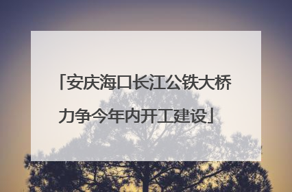 安庆海口长江公铁大桥力争今年内开工建设