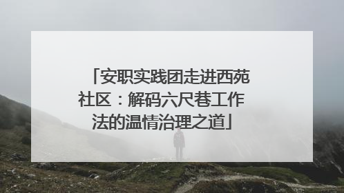 安职实践团走进西苑社区：解码六尺巷工作法的温情治理之道