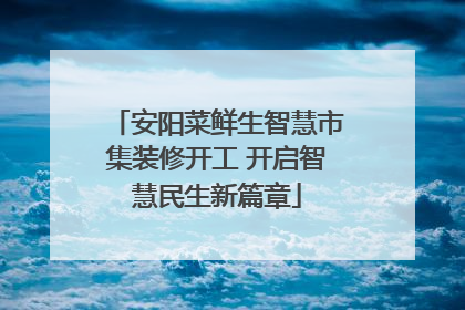 安阳菜鲜生智慧市集装修开工 开启智慧民生新篇章