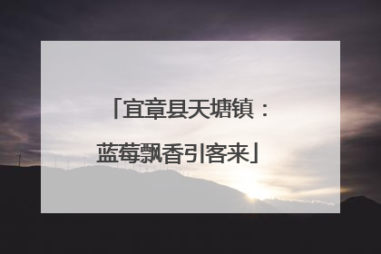 宜章县天塘镇：蓝莓飘香引客来