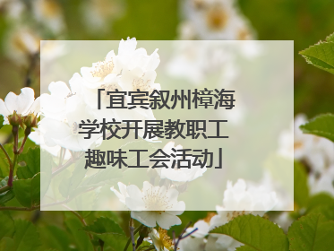 宜宾叙州樟海学校开展教职工趣味工会活动