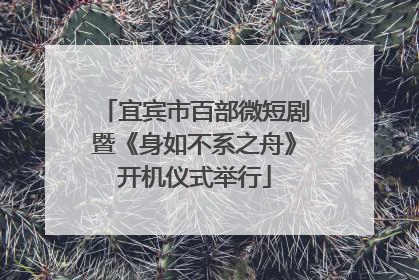 宜宾市百部微短剧暨《身如不系之舟》开机仪式举行