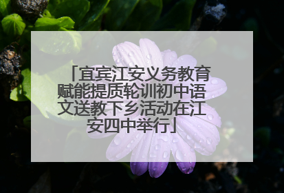宜宾江安义务教育赋能提质轮训初中语文送教下乡活动在江安四中举行