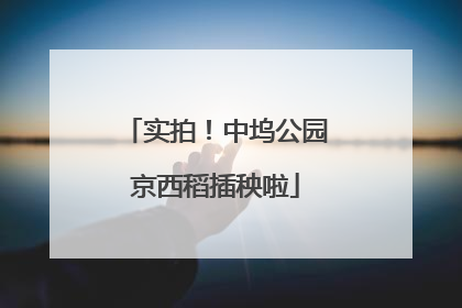 实拍！中坞公园京西稻插秧啦