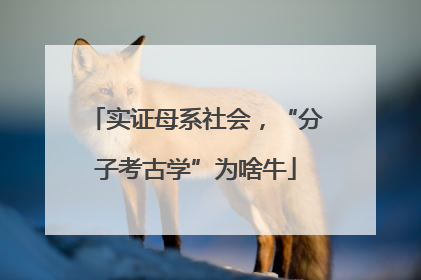 实证母系社会，“分子考古学”为啥牛