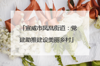宣威市凤凰街道：党建助推建设美丽乡村