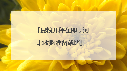 夏粮开秤在即，河北收购准备就绪