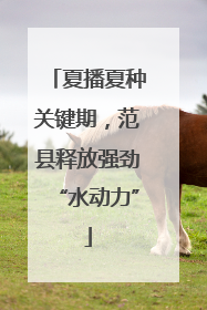 夏播夏种关键期，范县释放强劲“水动力”