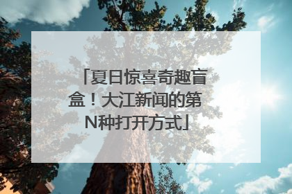 夏日惊喜奇趣盲盒！大江新闻的第N种打开方式