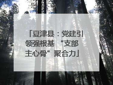 夏津县：党建引领强根基 “支部主心骨”聚合力