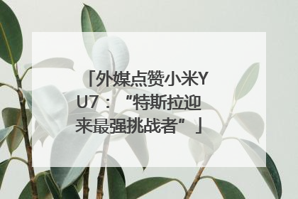 外媒点赞小米YU7：“特斯拉迎来最强挑战者”