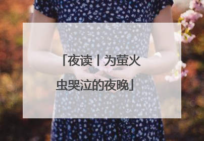 夜读丨为萤火虫哭泣的夜晚