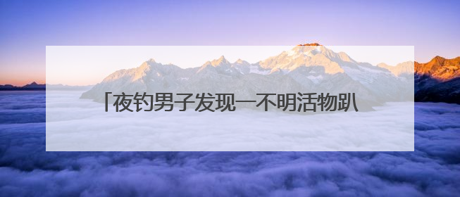 夜钓男子发现一不明活物趴在岸边，用竹竿将其拨入水中后，它又爬回岸边……