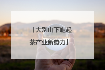 大别山下崛起茶产业新势力