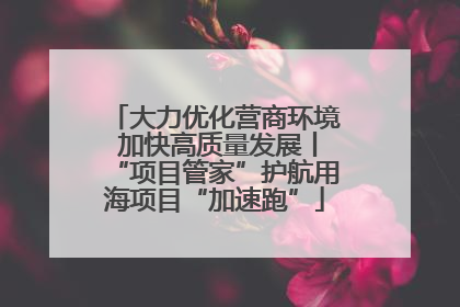 大力优化营商环境 加快高质量发展丨“项目管家”护航用海项目“加速跑”