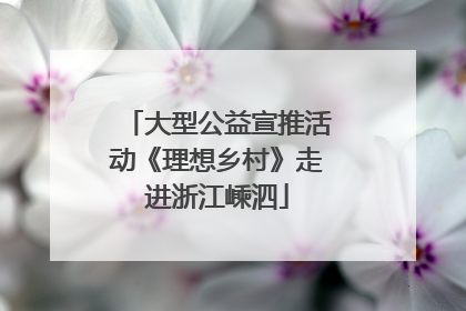 大型公益宣推活动《理想乡村》走进浙江嵊泗