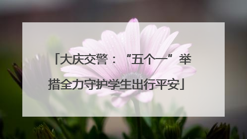 大庆交警：“五个一”举措全力守护学生出行平安
