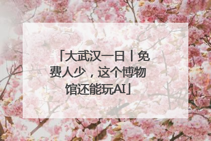 大武汉一日丨免费人少，这个博物馆还能玩AI
