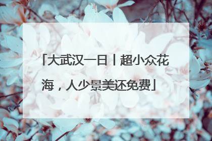 大武汉一日丨超小众花海，人少景美还免费