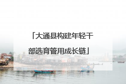 大通县构建年轻干部选育管用成长链