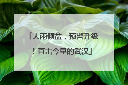 大雨倾盆，预警升级！直击今早的武汉