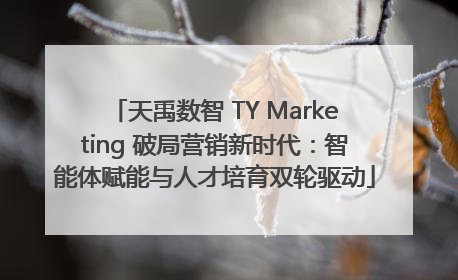 天禹数智 TY Marketing 破局营销新时代：智能体赋能与人才培育双轮驱动