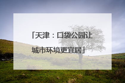 天津：口袋公园让城市环境更宜居